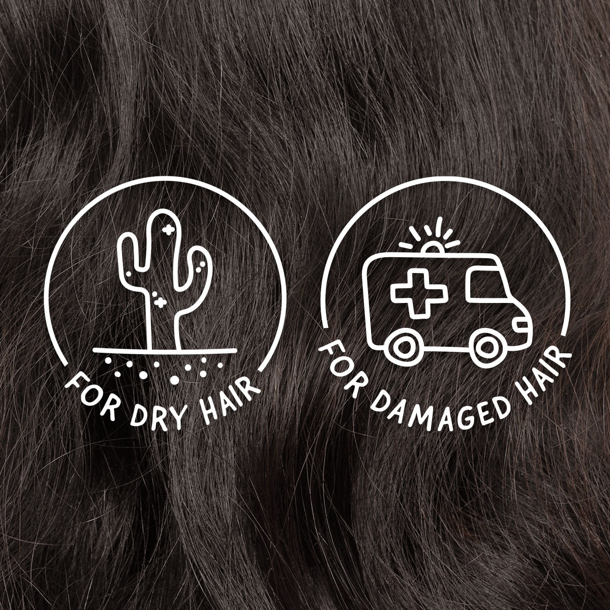 Restoring Hair Duo for Dry, Damaged Hair