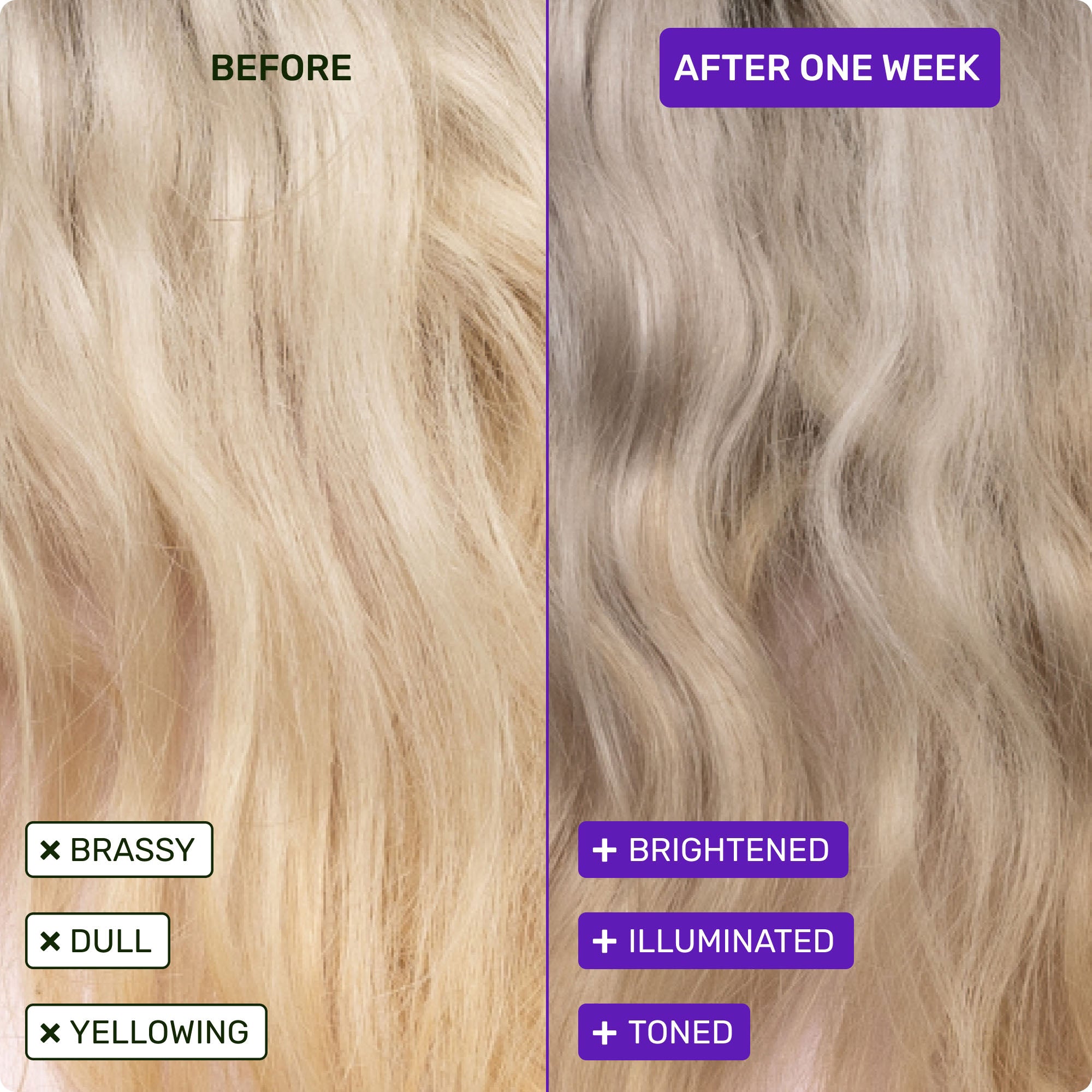 Before - brassy, dull, yellowing. After one week - brightened, illuminated, toned.