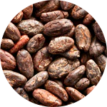 Ground coffee arabica (coffee) beans
