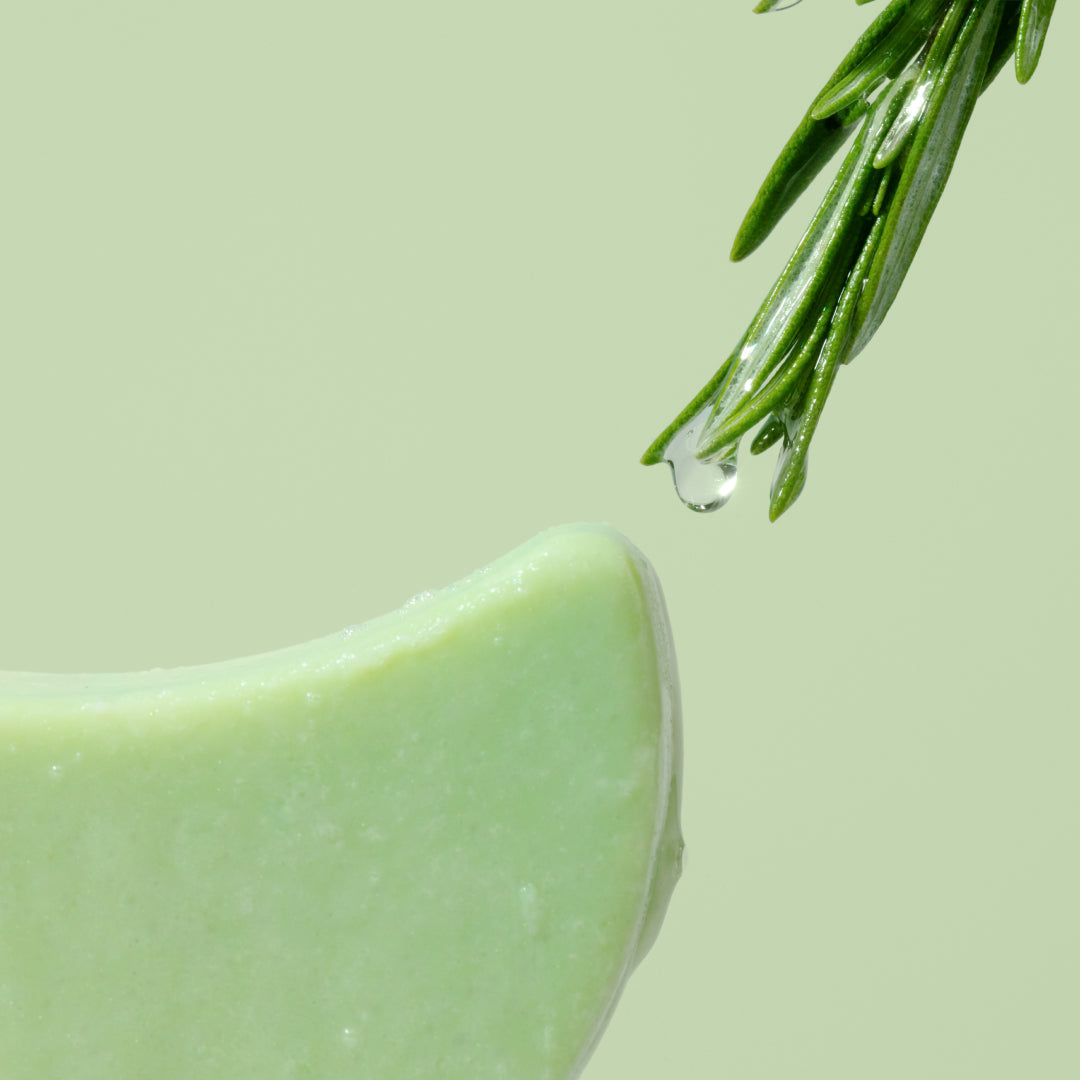 Rosemary Oil for Hair Growth: What the Research Actually Says