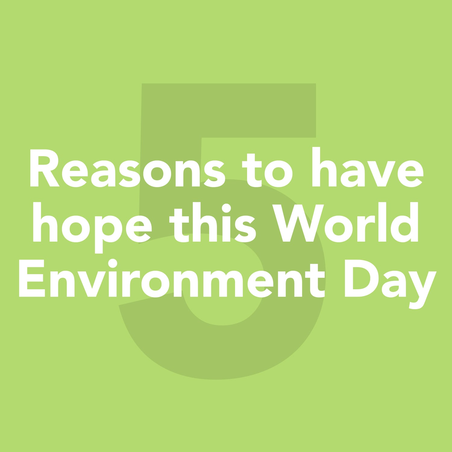 Five reasons to have hope this World Environment Day