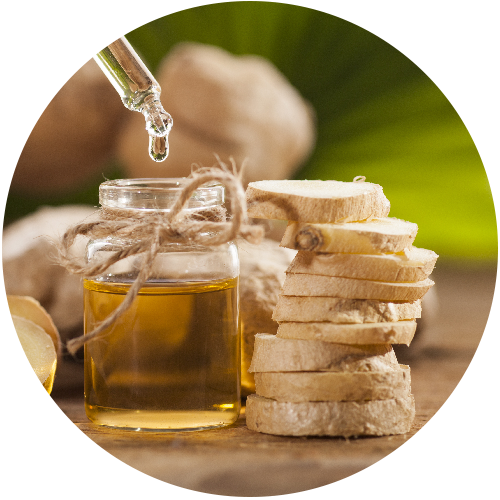 Zingiber officinale (ginger) essential oil