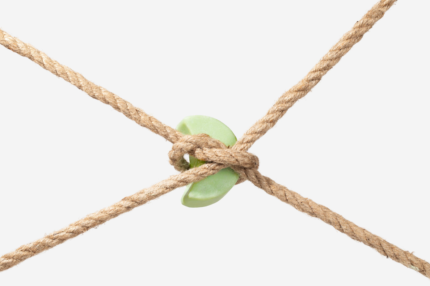 Hair Thinning vs Hair Loss vs Breakage: How to Tell What's Actually Happening