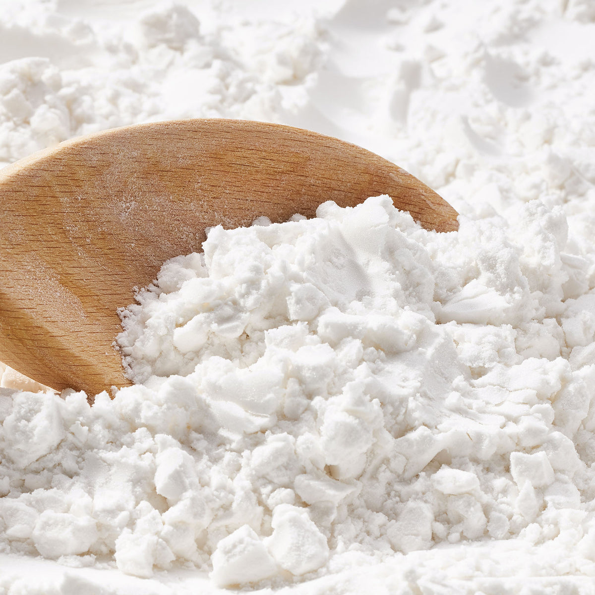 Sativa Rice Oryza sativa (rice) powder