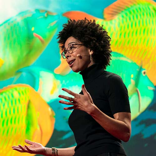 Celebrating five women of color in STEAM