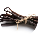 Vanilla planifolia (vanilla) oil