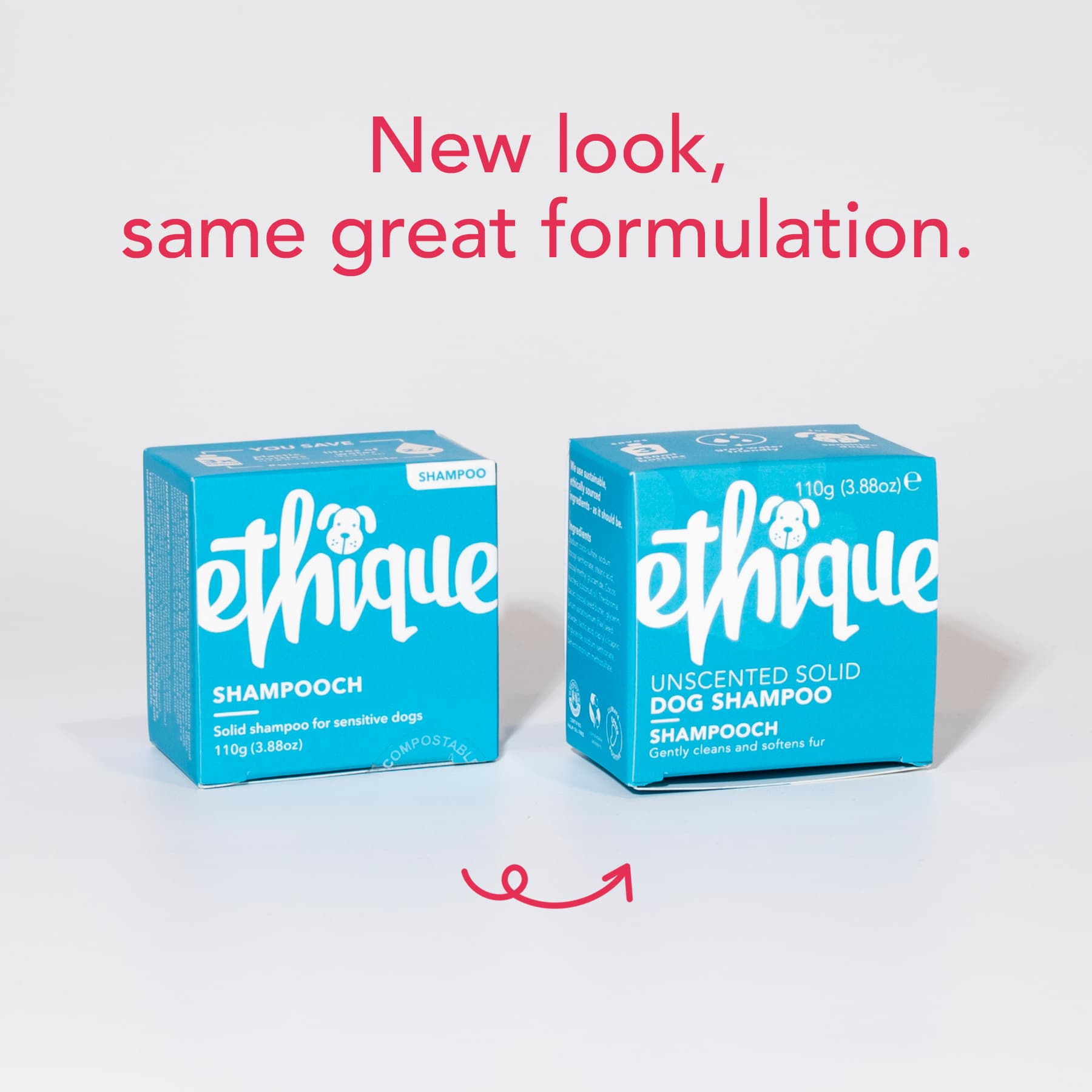 Unscented Dog Shampoo - Shampooch™ | Ethique🌱