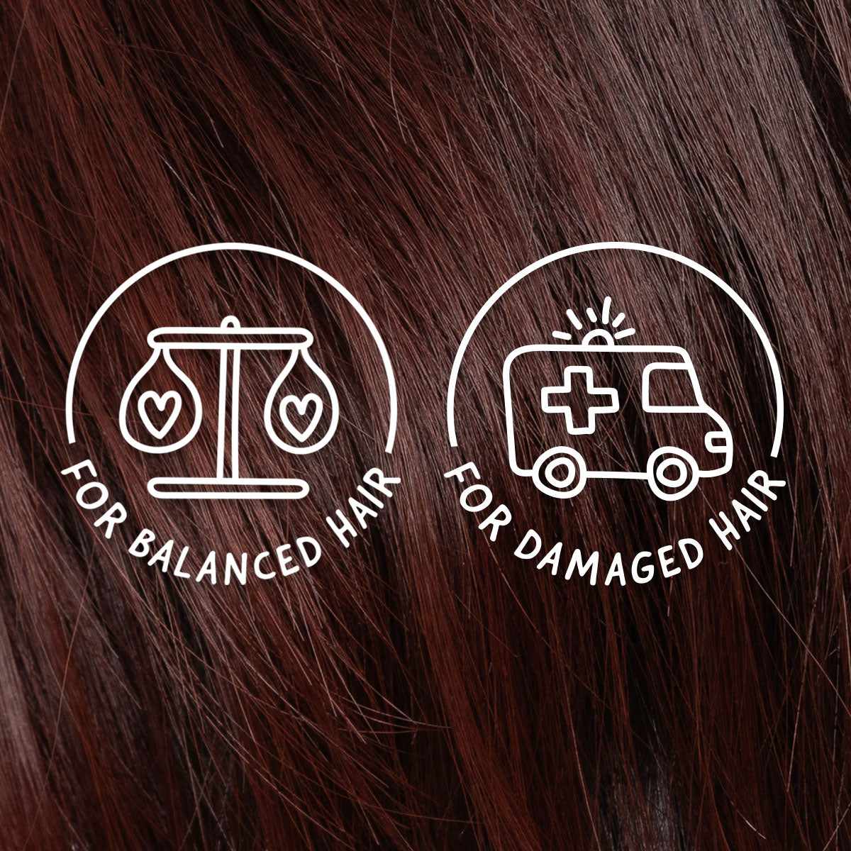 Restoring Shampoo Bar Mini for Dry, Damaged Hair: Sorbet™