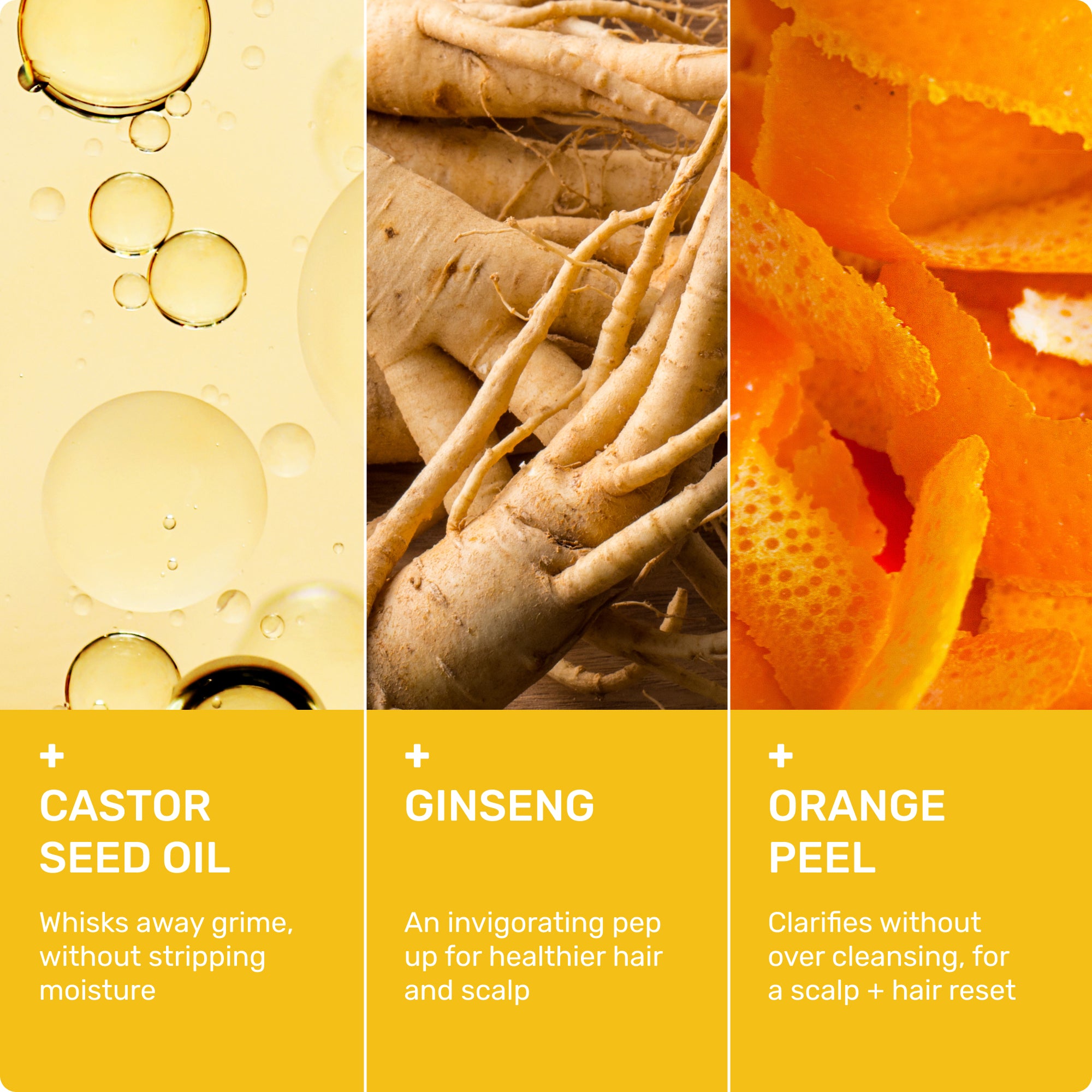 Castor Seed Oil -Whisks away grime, without stripping moisture

Ginseng - An invigorating pep up for healthier hair and scalp

Orange Peel - Clarifies without over cleansing, for a scalp + hair reset 