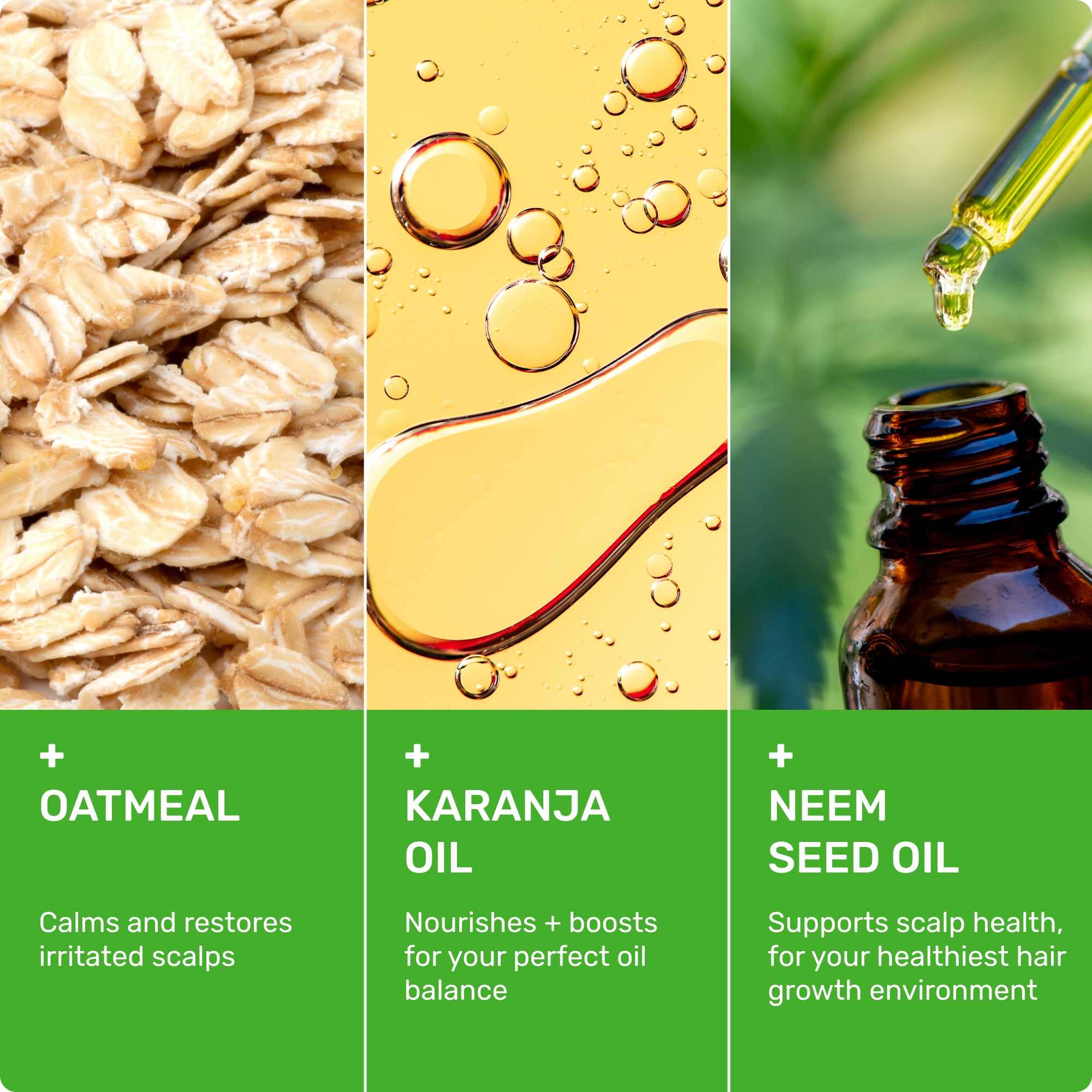 Oatmeal - calms and restores irritated scalps. 

Karanja Oil - nourishes and promotes a healthy scalp environment. 

Neem Seed Oil - natural properties to support scalp health. 