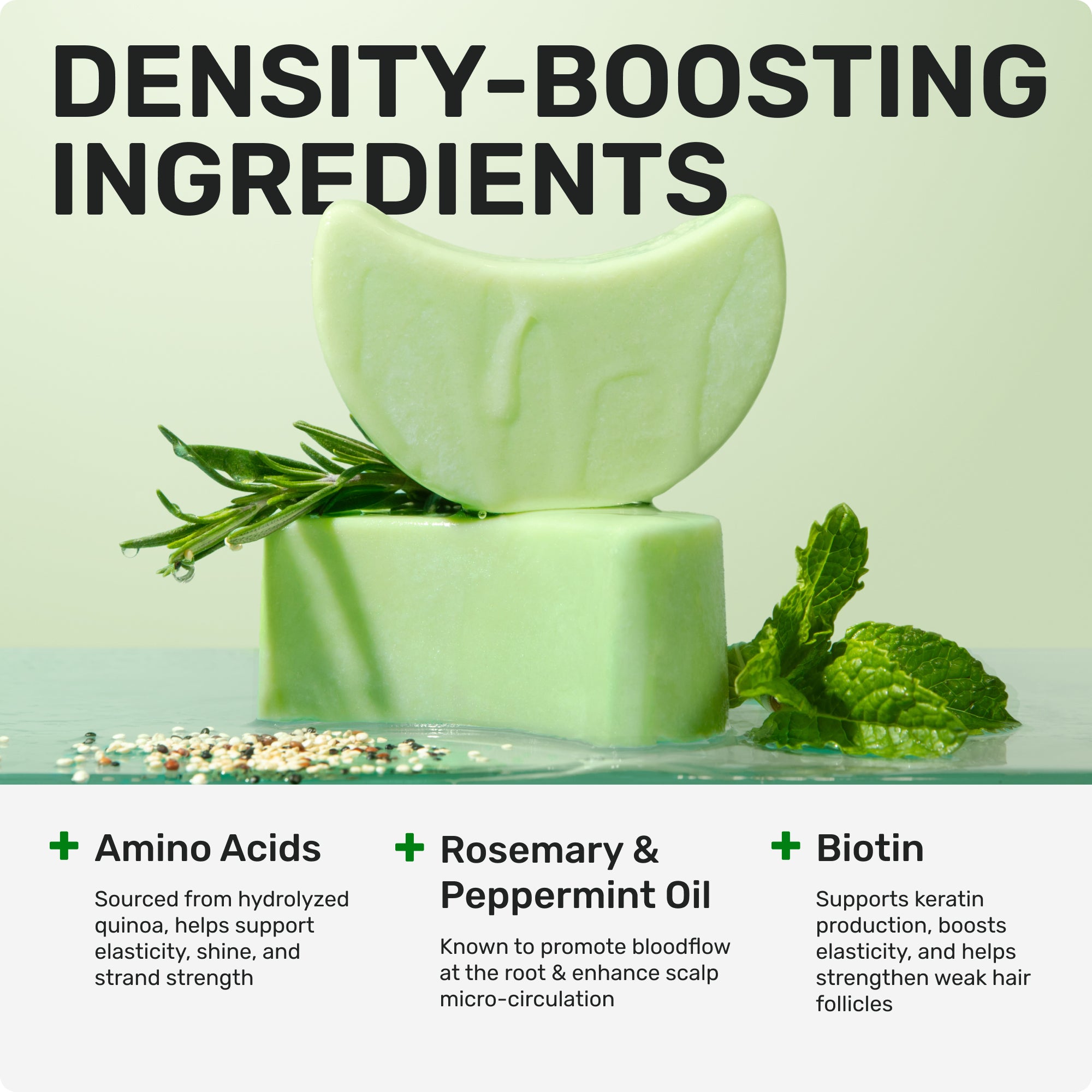 Density-boosting ingredients 

Amino acids sourced from hydrolyzed quinoa, helps support elsticity, shine, and strend strength

Rosemary & peppermint oil known to promote bloodflow at the root & enhance scalp micro-circulation

Biotin supports keratin production, boosts elasticity, and helps strengthen weak hair follicles