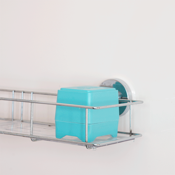 Aqua In-Shower Container